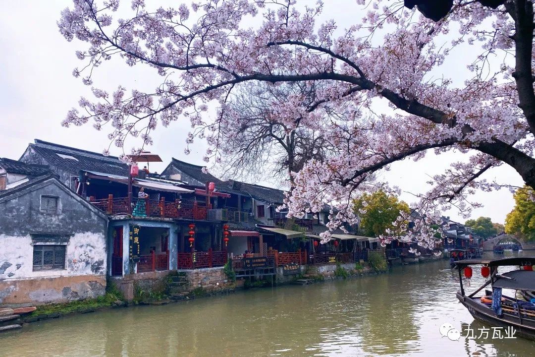 江南春色宛如梦，，梦在屋舍墙瓦间——尊龙凯时江浙项目案例鉴赏