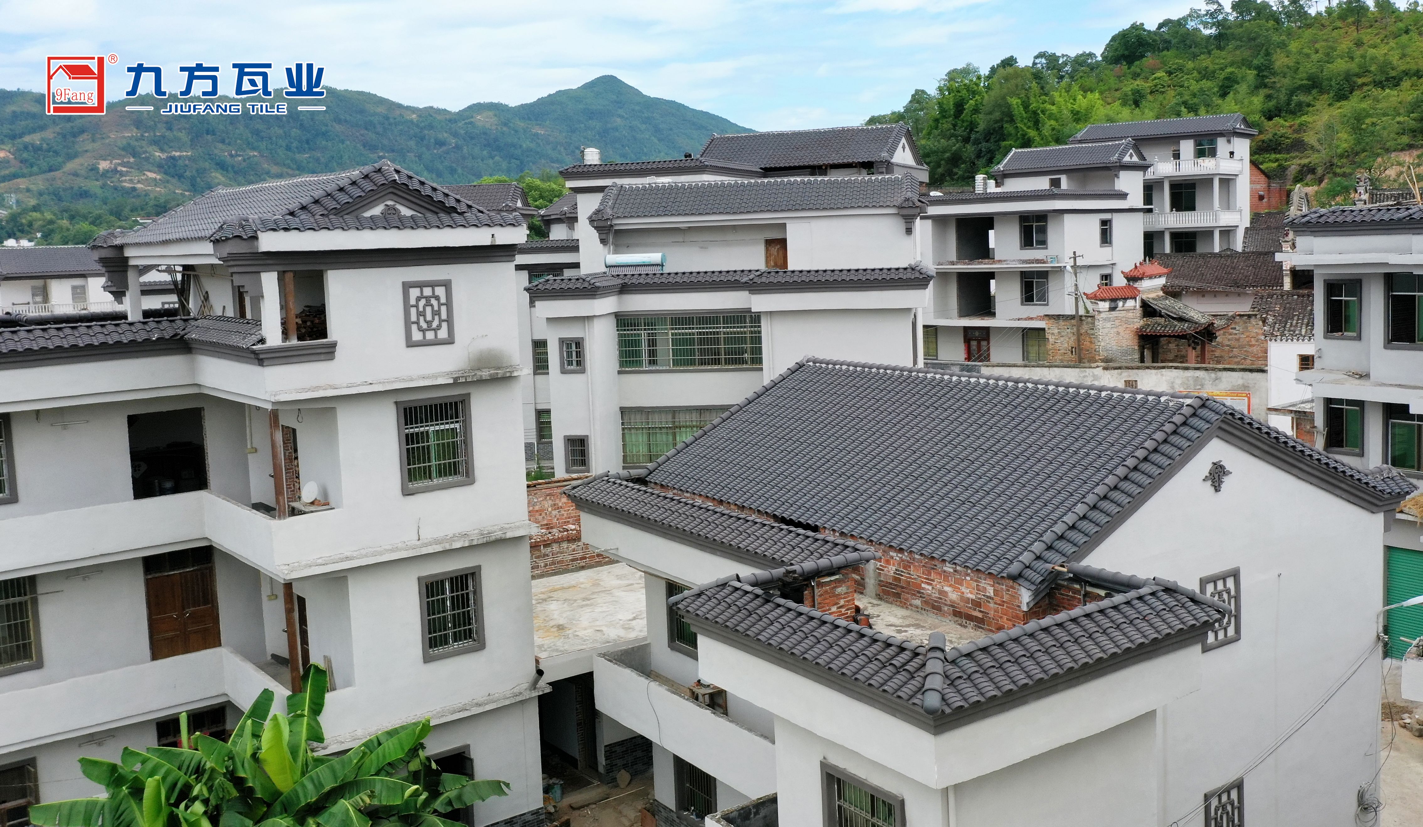 尊龙凯时摘要2022第24期