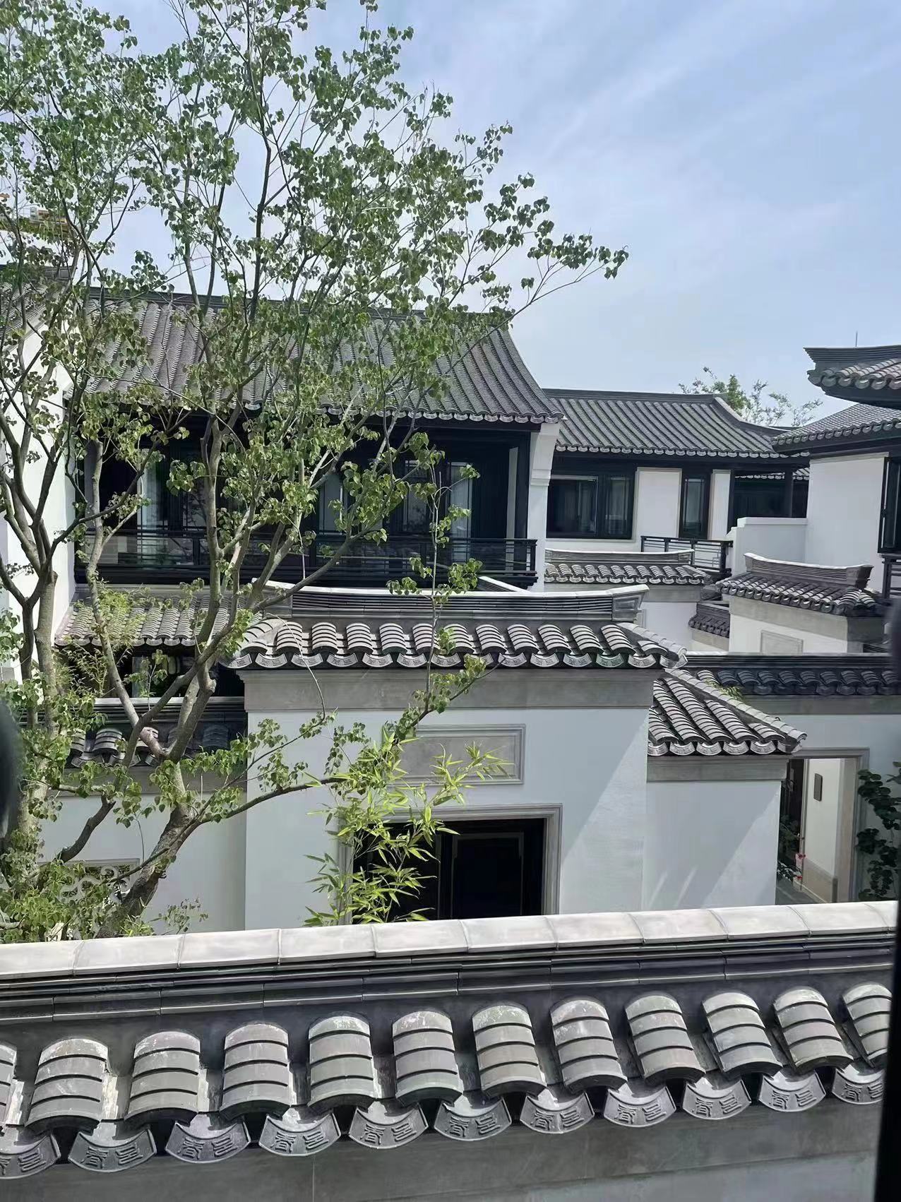 尊龙凯时摘要2023第27期